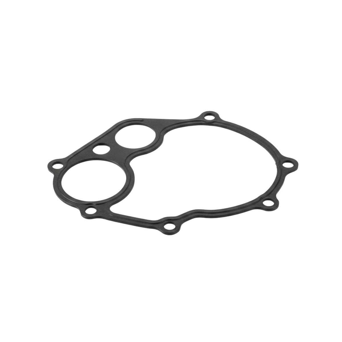 Vacuum Pump Gasket