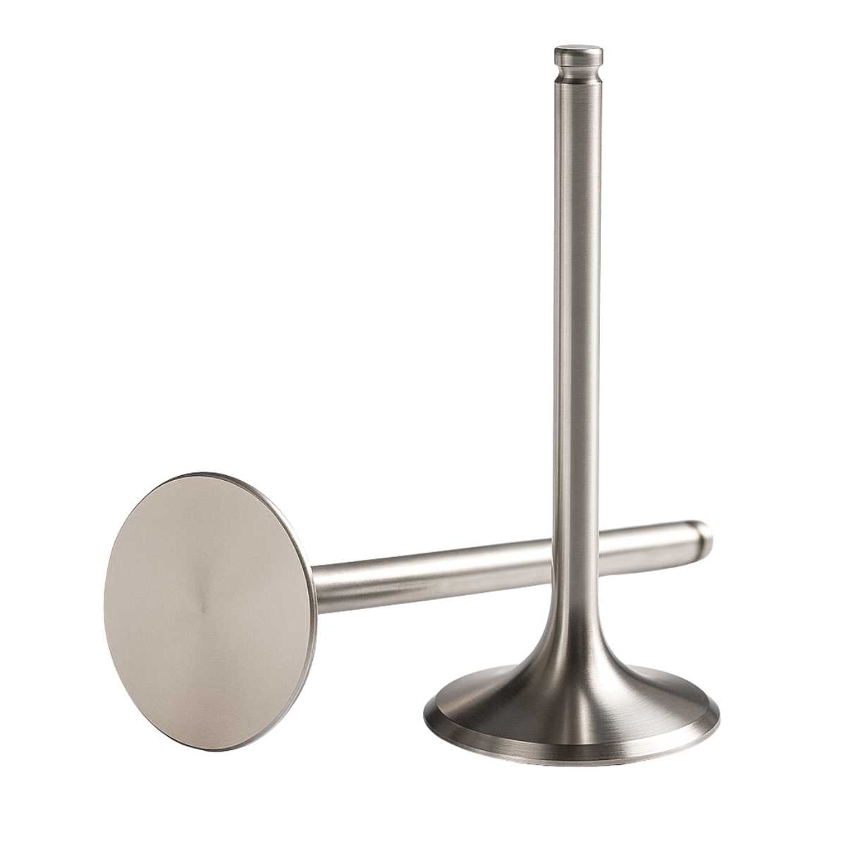Intake & Exhaust Valves