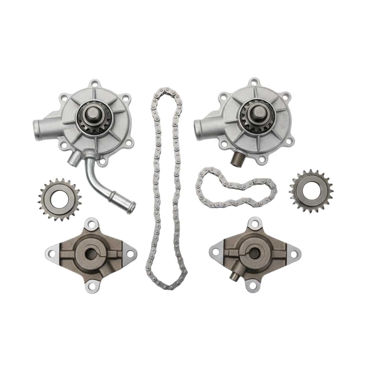 Oil Pumps & Chains