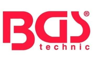 BGS
