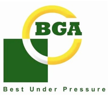 BGA